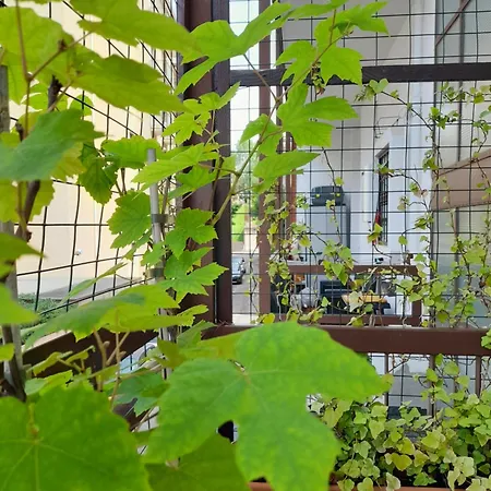 Lora Apartamento